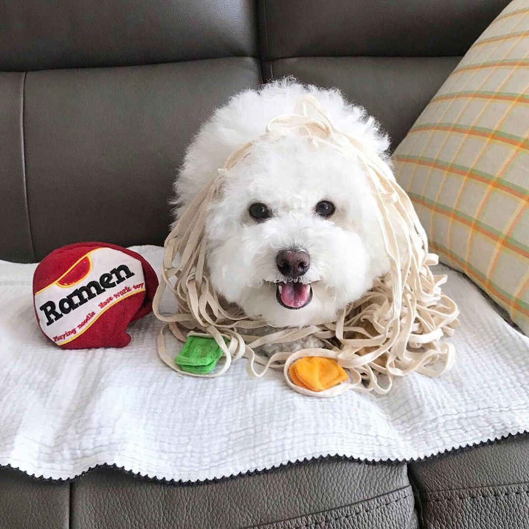 Spot special clearance puzzle grinding teeth dog toy sniff pull interactive training ramen pet toy